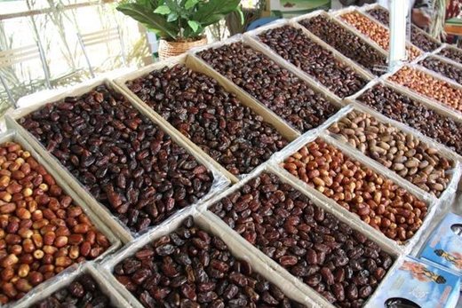 انواع خرمای جنوب